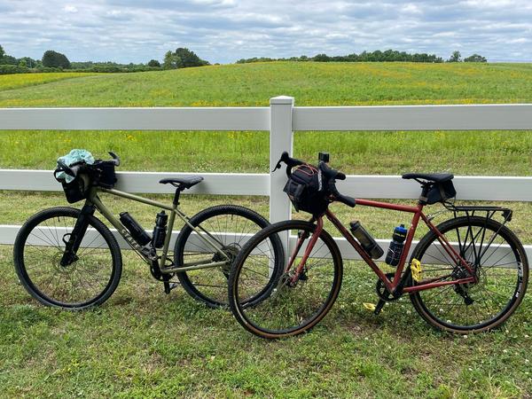 Two bicycles, riderless, aside a field of flowers
